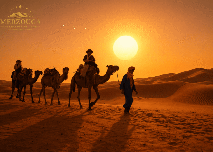 Merzouga Sahara Desert Camp Gallery